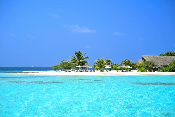 Comment choisir une location de vacances en Écosse avec des cours de cuisine et des randonnées en montagne?